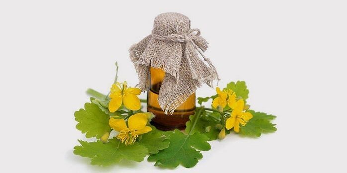 celandine масло за габа на нозете